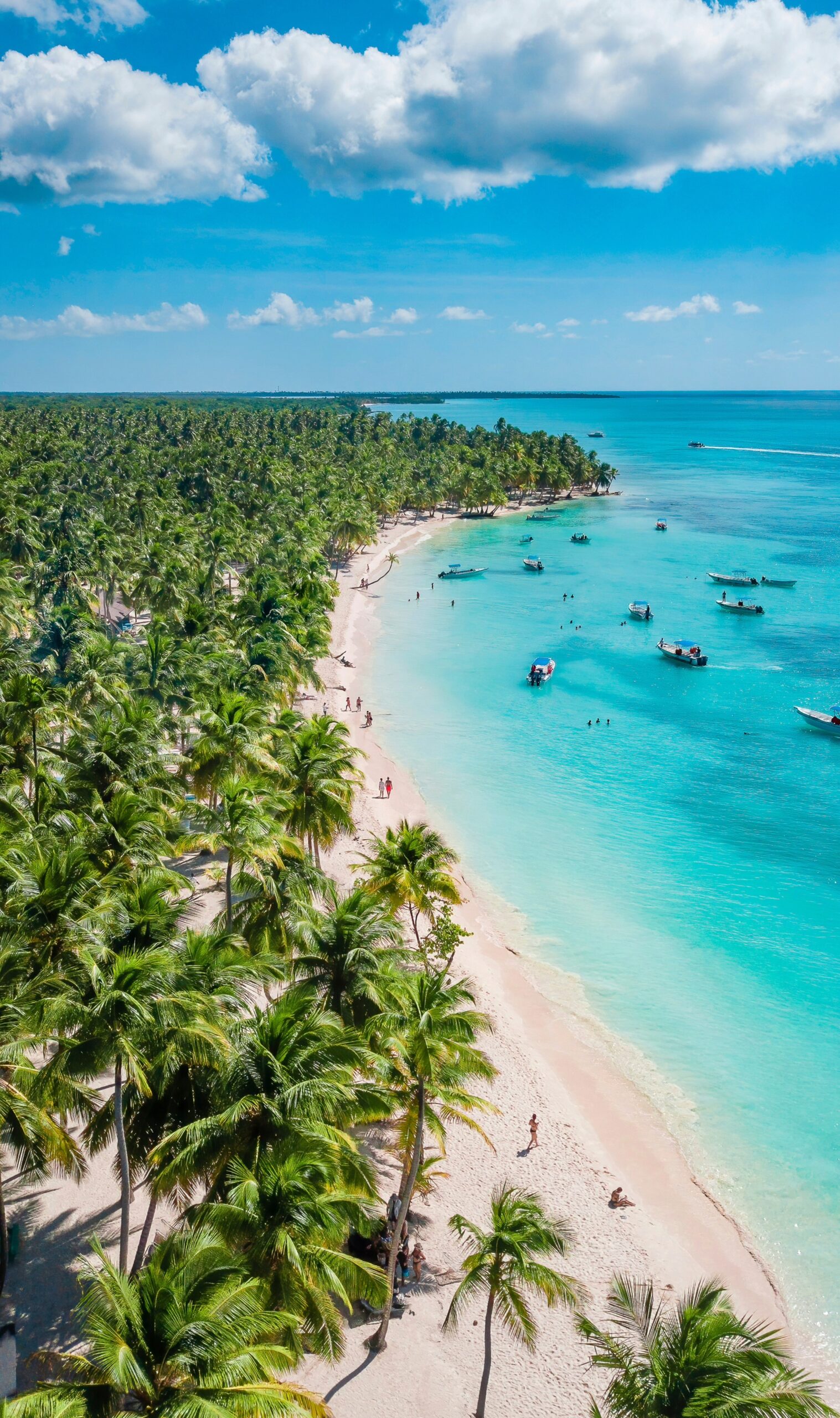 dominican