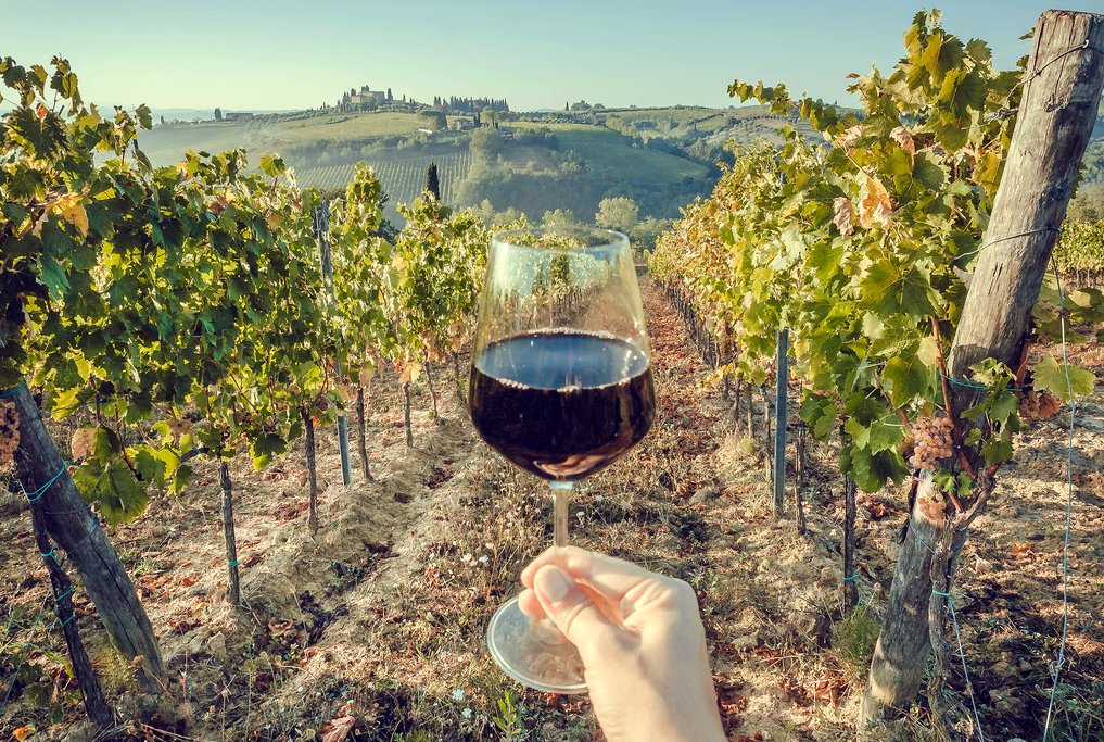rome wine